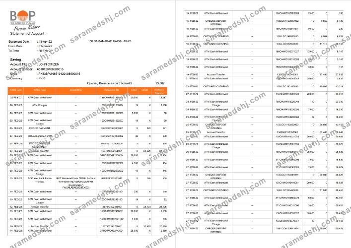 India The Bank of Punjab (BOP) account statement, 3 pages